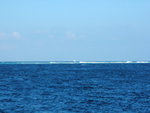 DSCF2357