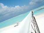 DSCF2362