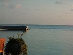 DSCF2379