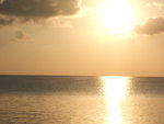DSCF2381