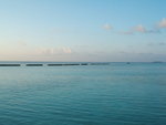 DSCF2391