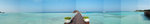 Maldives4