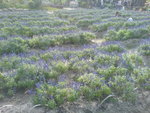 DSC00080