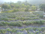 DSC00081