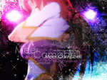 wall-001