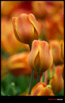 post-106