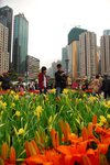 flower122