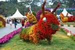 flower134