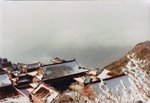 old035
