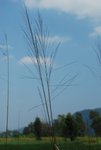 南生圍022