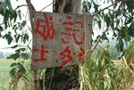 南生圍023