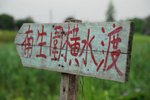 南生圍001