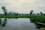 南生圍008