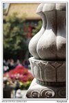 _DSC3365