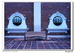 IMG_0951