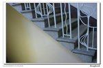 IMG_0956