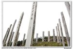 _DSC3374