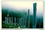 _DSC3376a