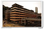 DSC_3555a