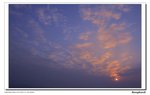 _DSC2684a