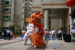 _MG_0529