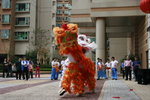 _MG_0530