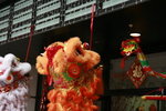 _MG_0535