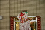 _MG_0562