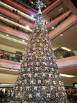 *Festival Walk