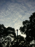 *Ocean Park