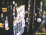 Photo0137