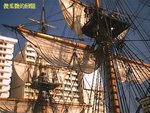 Photo0019a
