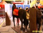 Photo0029a