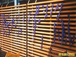 Photo0006a