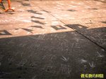 Photo0019a