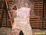 Photo0023a