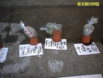 Photo0389a