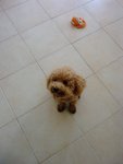 P120709_12.47_[02]
