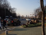 DSCN0333