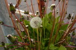 P1020201