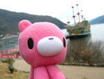 gloomy bear @蘆之湖