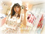 Sakura001
