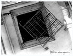 P1011420-a