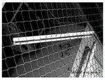 P1011483-a