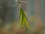 P1010855