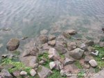 PICT0140