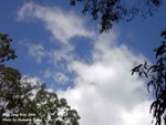 PICT0948