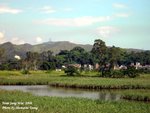 PICT0953