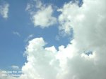 PICT0958