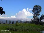 PICT0998